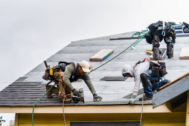 Professional Roofing technician working in Woodland, NC